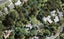 101 Takahe Road, Titirangi, Auckland - Carousel 1