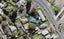 4/4 Mead Street, Avondale, Auckland - Carousel 1