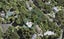 100 Otitori Bay Road, Titirangi, Auckland - Carousel 1