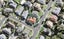 26 Nimstedt Avenue, Oteha, Auckland - Carousel 1