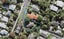 2/22 Karaka Street, New Lynn, Auckland - Carousel 1