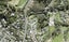 2A Roberts Road, Matakatia, Whangaparaoa - Carousel 1