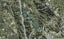 148 Lonely Track Road, Redvale, Auckland - Carousel 1