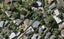 26B Sycamore Drive, Sunnynook, Auckland - Carousel 1