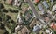 31 Kenneth Small Place, Remuera, Auckland - Carousel 1