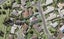 12 Mercury Lane, Windsor Park, Auckland - Carousel 1