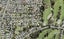 35 Cutler Street, New Lynn, Auckland - Carousel 1
