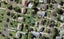 37F Erima Avenue, Point England, Auckland - Carousel 1