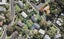 5 Berne Place, Birkenhead, Auckland - Carousel 1