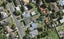 4 Hillcrest Grove, Hillpark, Auckland - Carousel 1