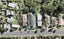 1/105 John Downs Drive, Browns Bay, Auckland - Carousel 1
