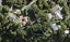 110 Scenic Drive, Titirangi, Auckland - Carousel 1