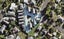 1 Torea Place, Waterview, Auckland - Carousel 1