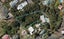 5 The Grove, Riverside, Whangarei - Carousel 1