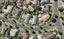 3 Frank Nobilo Drive, Golflands, Auckland - Carousel 1