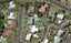 11 Mcinnes Avenue, Te Kamo, Whangarei - Carousel 1