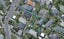 39B Kenya Street, Ngaio, Wellington - Carousel 1