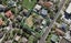 1A Wendell Place, Greenlane, Auckland - Carousel 1