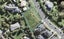 102 Rising Parade, Fairview Heights, Auckland - Carousel 1