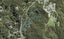 180 Laingholm Drive, Titirangi, Auckland - Carousel 1