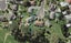 3 Gazala Lane, Panmure, Auckland - Carousel 1