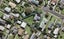 12 Titoki Avenue, Mangere Bridge, Auckland - Carousel 1