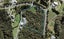 115 Elmore Road, Albany - Carousel 1