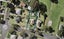 22 Anderson Avenue, Point England, Auckland - Carousel 1