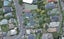 102 Northland Road, Northland, Wellington - Carousel 1