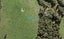 94 Te Aniwaniwa Terrace, Albany, Auckland - Carousel 1