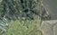 306C Pahoia Road, Whakamarama, Whakamārama - Carousel 1