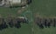 11 Ned Place, Halswell, Christchurch - Carousel 1