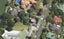 10 Cheeseman Road, Inner Kaiti, Gisborne - Carousel 1