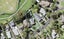 50 Washington Avenue, Glendowie, Auckland - Carousel 1