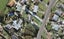 60 Mountain Road, Mangere Bridge, Auckland - Carousel 1