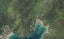 0 Lochmara Bay, Lochmara Bay, Marlborough Sounds - Carousel 1