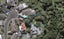 42A Frank Wilson Terrace, Welbourn, New Plymouth - Carousel 1