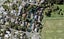 22 Glover Road, St Heliers, Auckland - Carousel 1