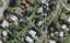 11 Kiwi Street, Oneroa, Waiheke Island - Carousel 1