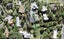 7B Ringwood Street, Torbay, Auckland - Carousel 1