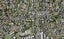 40F Kupe Street, Orakei, Auckland - Carousel 1