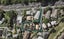 1/205 Abbotts Way, Remuera, Auckland - Carousel 1