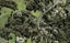 50 Paremoremo Road, Lucas Heights, Auckland - Carousel 1
