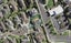 24 Sonterra Close, Randwick Park, Auckland - Carousel 1