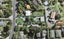 60 Atkinson Road, Titirangi, Auckland - Carousel 1