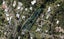 8C Patiki Street, Riverside, Whangarei - Carousel 1