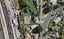 9 Shifnal Drive, Randwick Park, Auckland - Carousel 1