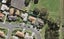 12 Lili Chen Way, Mangere Bridge, Auckland - Carousel 1