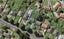204 Tripoli Road, Point England, Auckland - Carousel 1