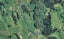 278 Glue Pot Road, Oropi, Tauranga - Carousel 1